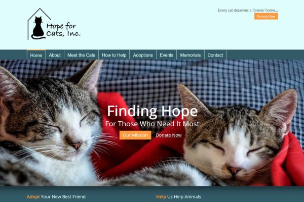 Project ForHope for Cats, Inc.